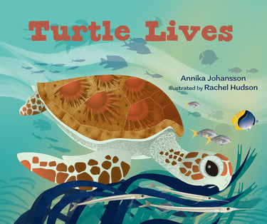 Turtle Lives